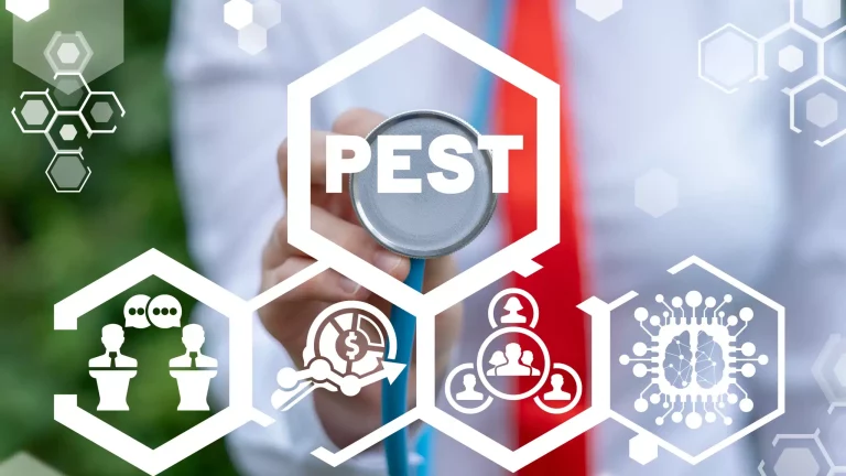 Best Strategies to Boost Pest Control Lead Generation